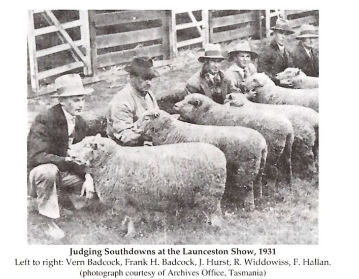 Southdowns Launceston Show 1931